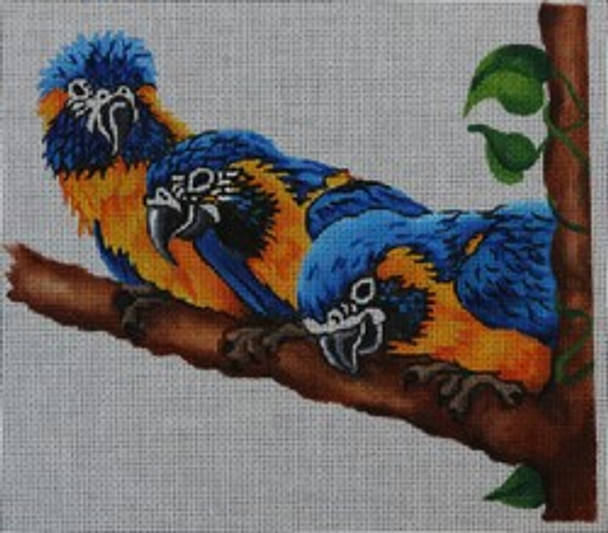 R303 Family of Parrots  8 x 7 18 Mesh Robbyn's Nest Designs