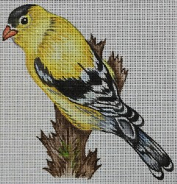 R831 Yellow and Black bird 6 x 6 	18 Mesh Robbyn's Nest Designs