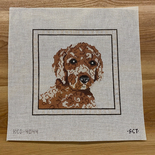 Sir Doodle 8 1/4" square 13 Mesh SCT Designs (KCN) KCD4044