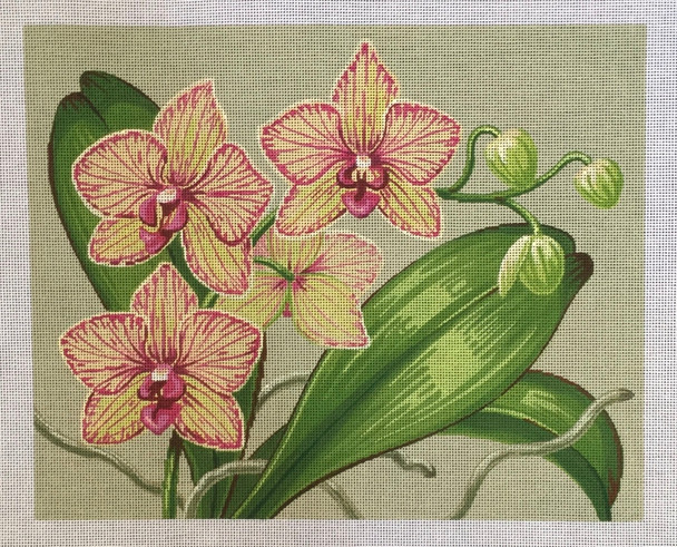 LL581-13 Orchids 15.25x12.25 Labors Of Love 13 Mesh