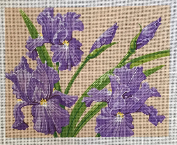 LL582-13 Irises 15.25 x 12.25  Labors Of Love 13 Mesh