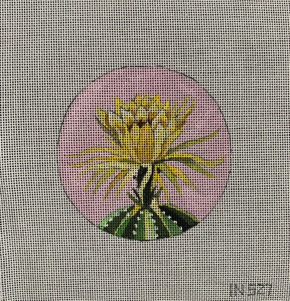 IN527 cactus bloom 4" round 18 Mesh Colors of Praise 