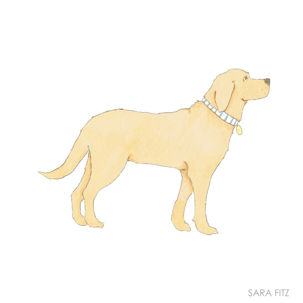 SF43 Golden Pup 5x5 18 Mesh Sara Fitz The Collection Designs 