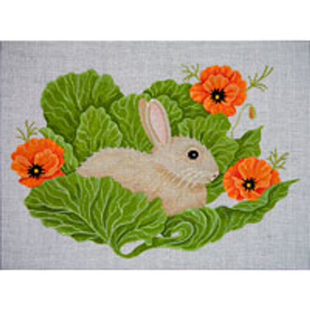 Animal A061 Bunny in Cabbage w/Poppies 10 x 13 13 Mesh JP Needlepoint