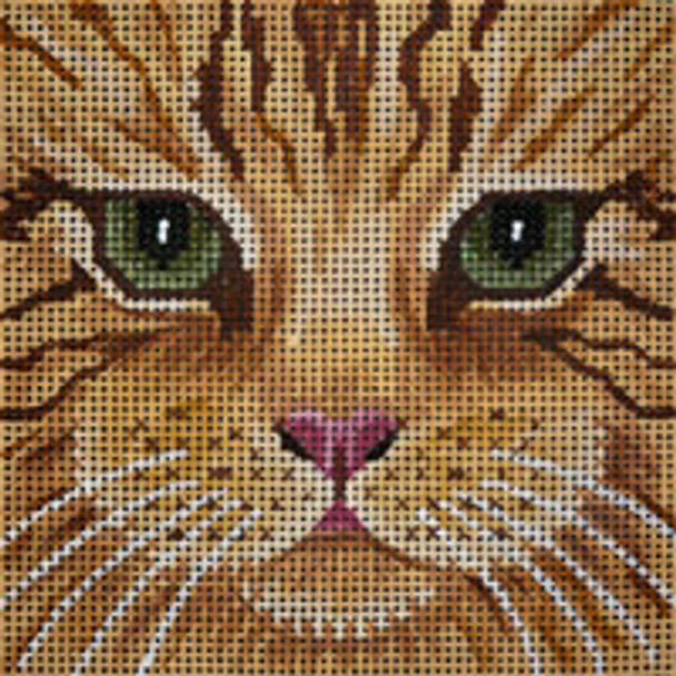 Animal A063S Small Orange Tabby Cat Face 5 x 5 13 Mesh JP Needlepoint
