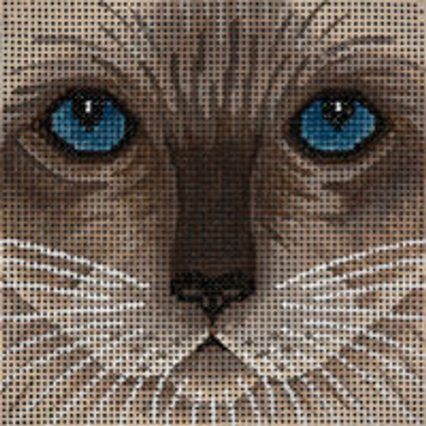 Animal A065L Large Siamese Cat Face 6 x 6 13 Mesh JP Needlepoint