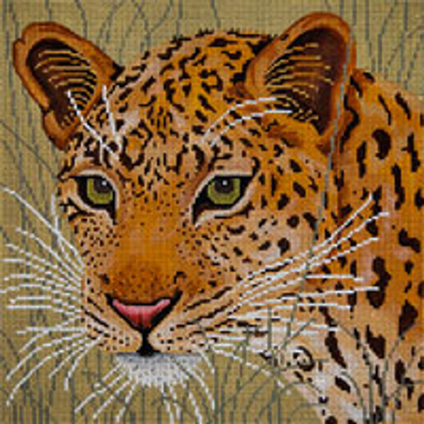 Animal A106 Leopard In Grasses 10 x 10 13 Mesh JP Needlepoint