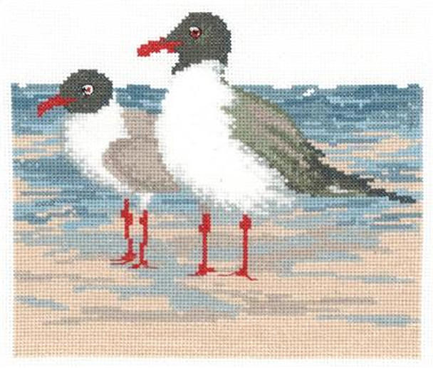 Laughing Gulls 110w x 96h Claire Harkness