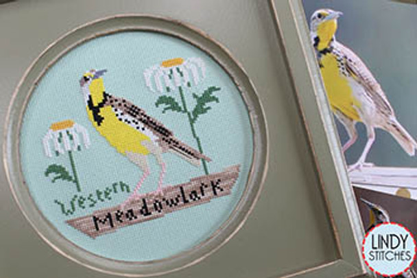 Western Meadowlark Bird CrushClub by Lindy Stitches 23-2199