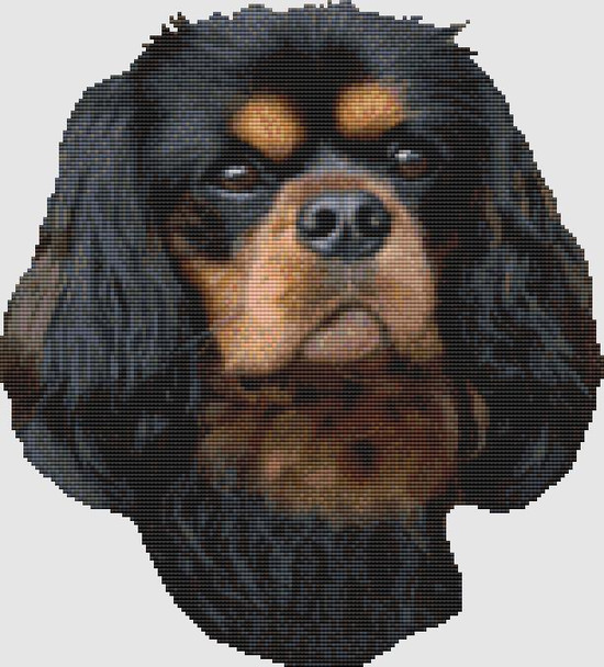 Cavalier Spaniel - Portrait (Black & Tan) 153w x 169h DogShoppe Designs