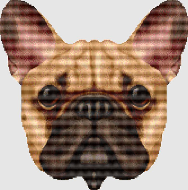 French Bulldog - Face (Fawn) 167w x 168h DogShoppe Designs