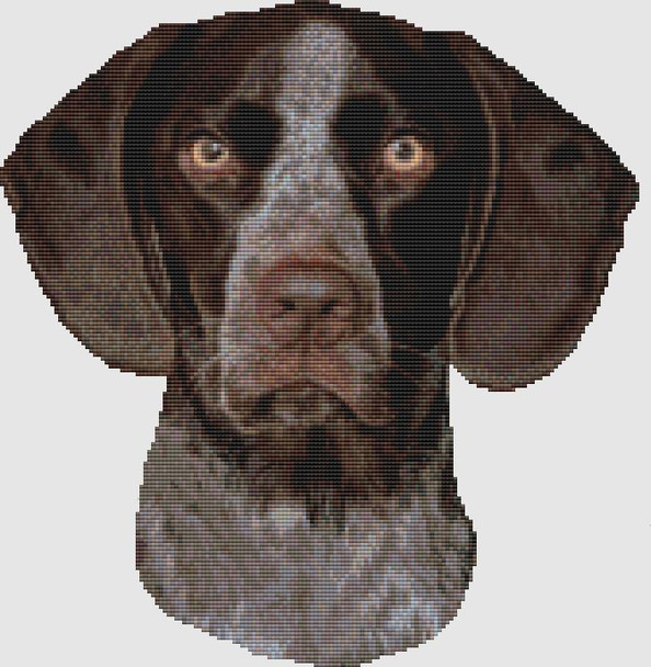 German Shorthair Pointer - Portrait 165w x 172h  DogShoppe Designs