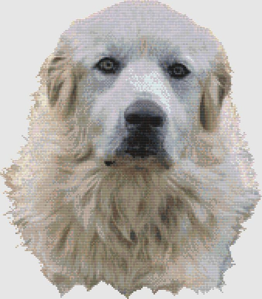 Great Pyrenees - Portrait 169w x 193h DogShoppe Designs