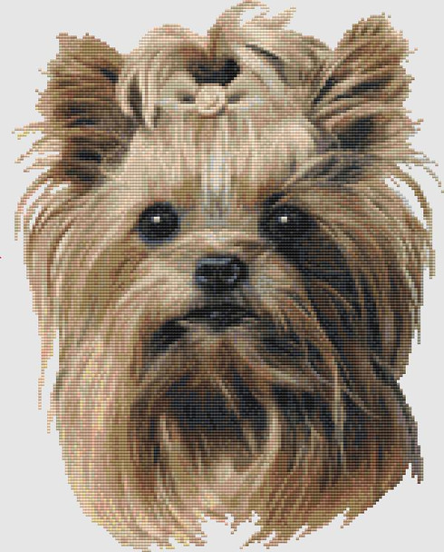 Yorkshire Terrier - Portrait 146w x 186h DogShoppe Designs