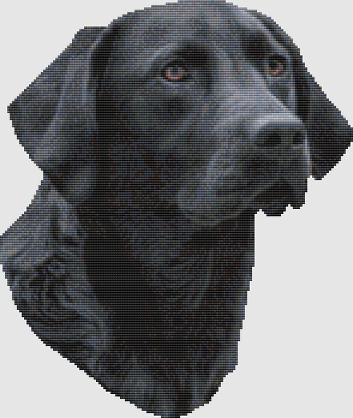 Labrador Retriever - Portrait (Black) 147w x 174h DogShoppe Designs