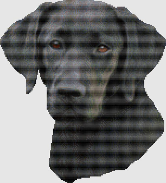 Labrador Retriever - Portrait II (Black) 153w x 168h DogShoppe Designs