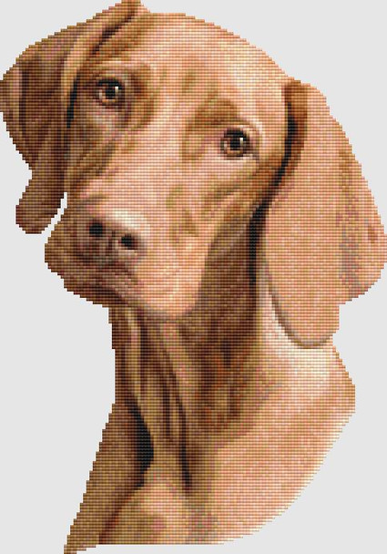 Vizsla - Portrait 121w x 173h DogShoppe Designs