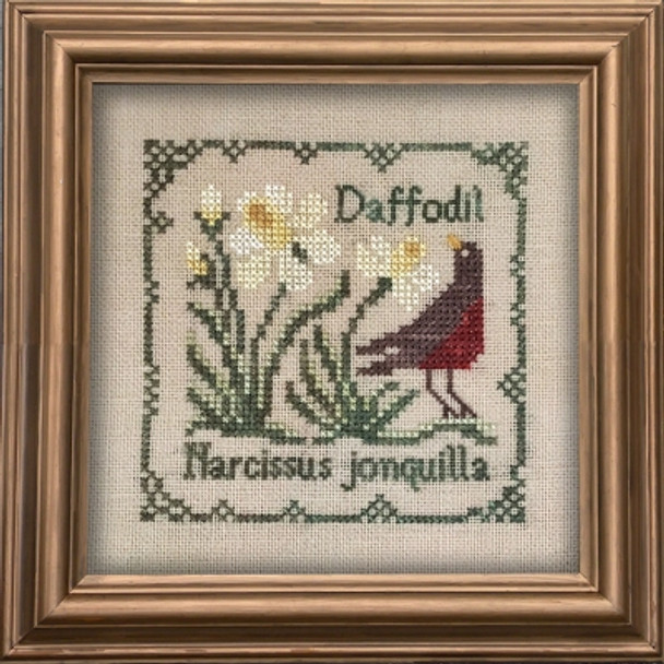 DR294 Daffodil - Narcissus Jonquilla - Botanical Stitches Drawn Thread (The)