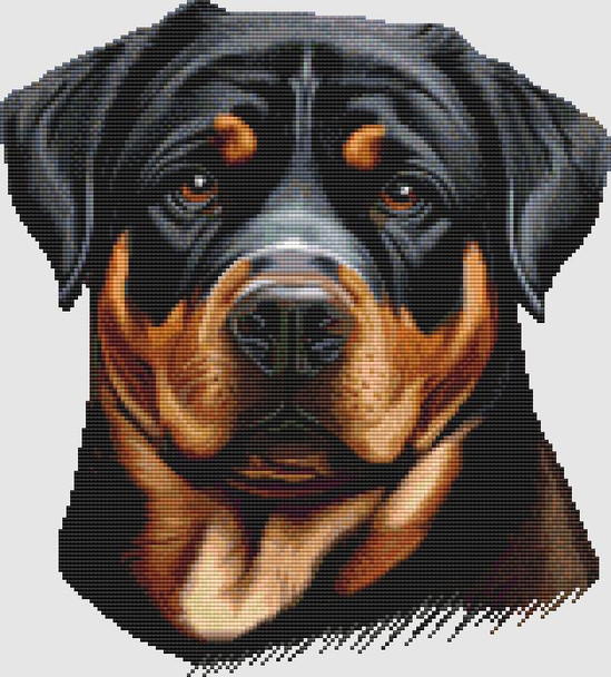 Rottweiler - Portrait 157w x 174h only full stitches DogShoppe Designs