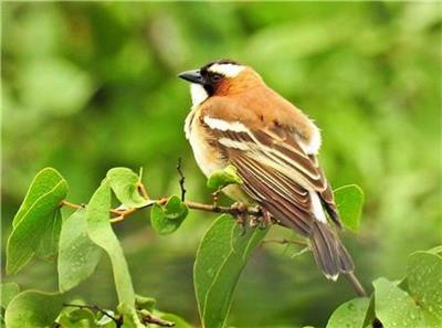 Sunny Day Happy 242W x 180H The Frame Corner