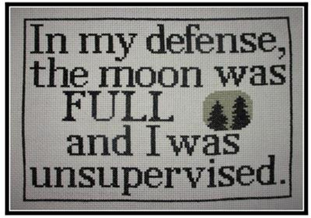 The Moon Was Full  120w x 92h The Stitcherhood 