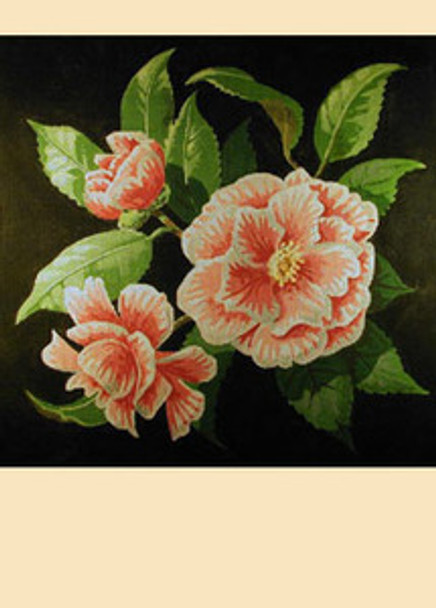 LL254 Labors Of Love Peppermint Camellia 13 Mesh 15" x 15"