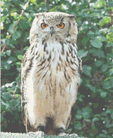 Standing Owl 180 x 222 Rowland Cole's Images of Nature