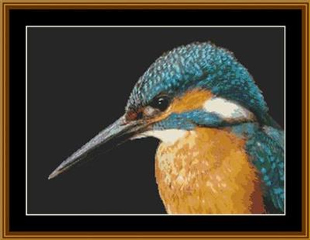 Kingfisher Portrait 265 X 193 Rowland Cole's Images of Nature