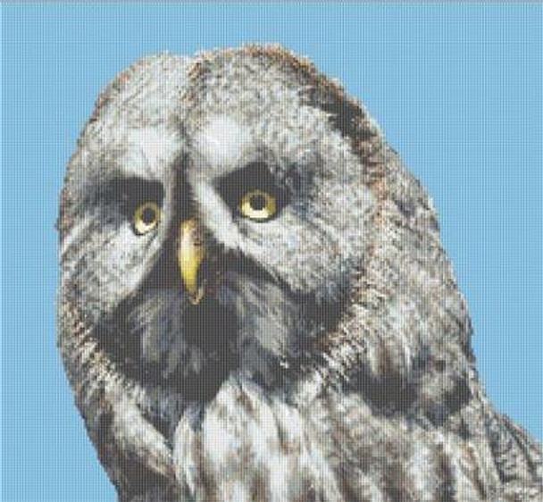 Grey Owl 220 x 200 Rowland Cole's Images of Nature