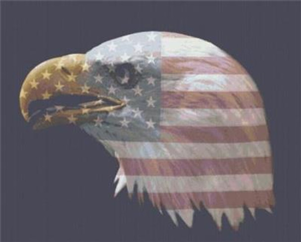 Stars and Stripes Eagle 440 x 355 Rowland Cole's Images of Nature