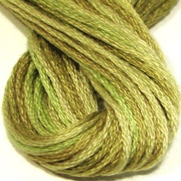 VA12559 Watery Weed Cotton Floss 6Ply Skein Valdani