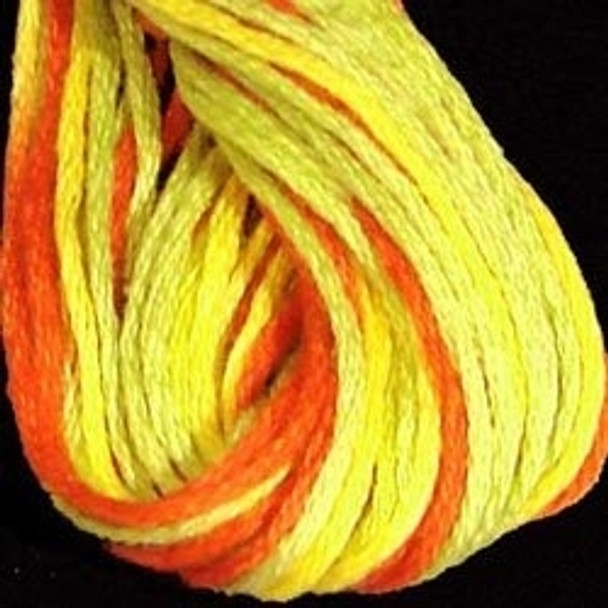 VA12M8 Orange Kiwi Papaya Cotton Floss 6Ply Skein Valdani