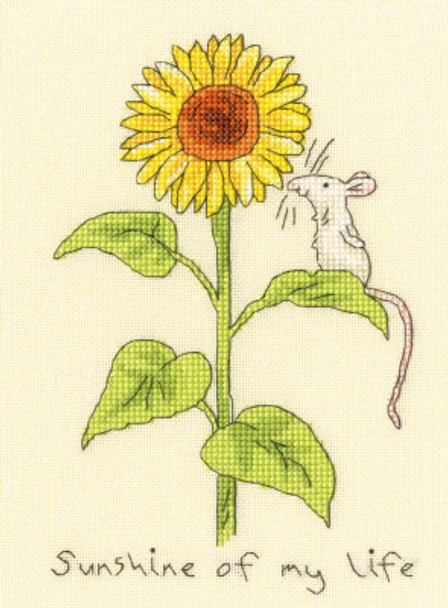 BTXAJ13 Sunshine of My Life by Anita Jeram BOTHY THREADS Counted Cross Stitch KIT