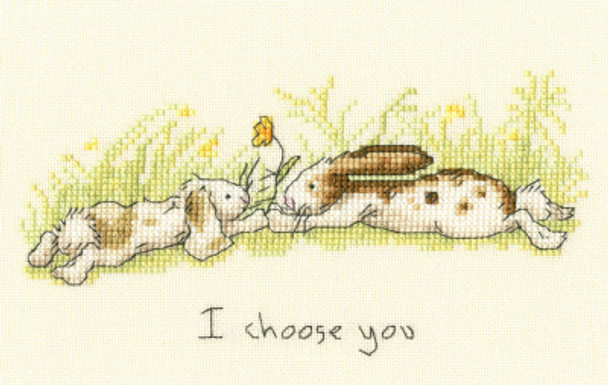 BTXAJ22 I Choose You by Anita Jeram BOTHY THREADS Counted Cross Stitch KIT