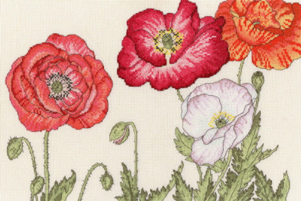 BTXBD15 Poppy Blooms Blooms BOTHY THREADS Counted Cross Stitch KIT