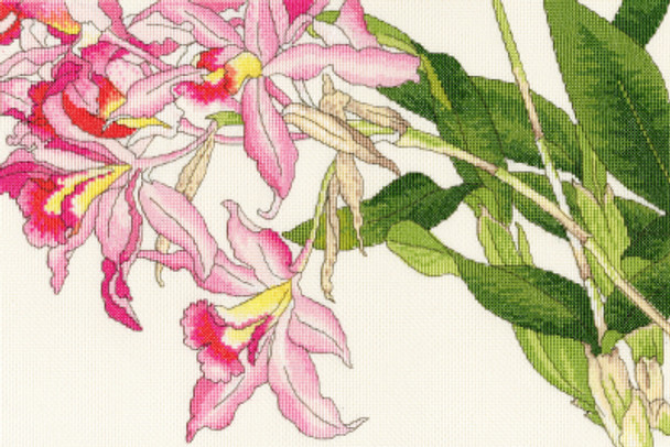 BTXBD16 Orchid Blooms Blooms BOTHY THREADS Counted Cross Stitch KIT