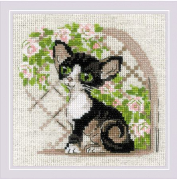 RL2121 Riolis Cross Stitch Kit Cornish Rex Kitten
