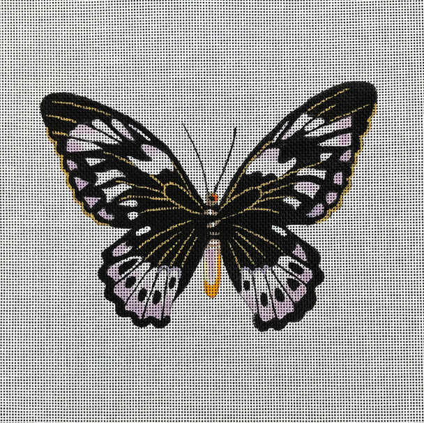 AN448 Animal Butterfly  6.5 x 5 18 Mesh Colors of Praise