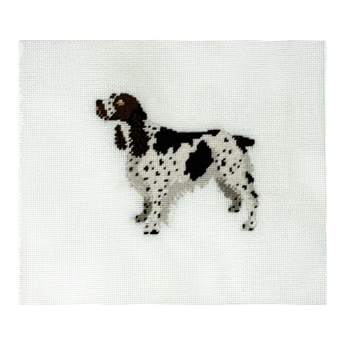 PR-224 SPRINGER SPANIEL 4 x 5  18 Mesh Pip And Roo
