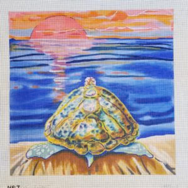 MS3 - Turtle Canvas 14" x 14 1/4" on 13 Mesh Mira Scott