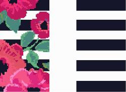 Eye Glass Case 2 sides C415 Mesh Voila