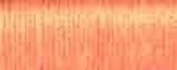5765- Orange Sherbet Medium #16 Braid Kreinik