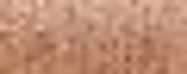 027- Orange Canvas #24 Braid Kreinik