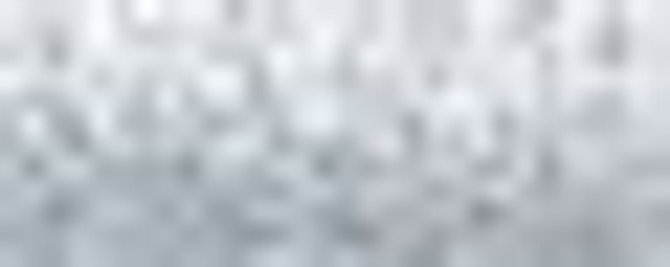 001HL- Silver Hi Lustre Canvas #24 Braid Kreinik