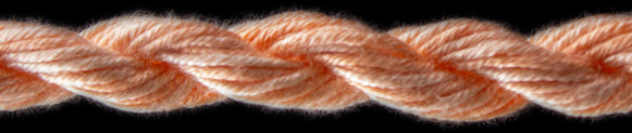 A106 Apricot Threadworx Silk
