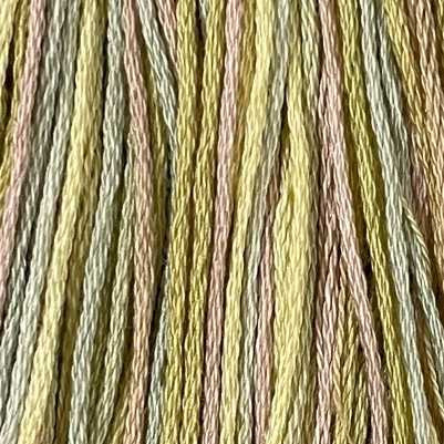 M80 Distant Grass Cotton Floss 6Ply Skein Valdani