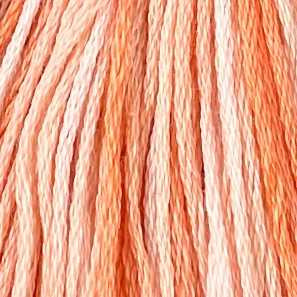 M22 Peaches Cotton Floss 6Ply Skein Valdani