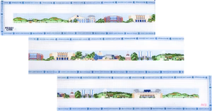 CAMPUS BELT - KENTUCKY  1.27" x 40" 18 Mesh AC Designs