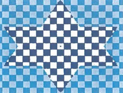 TEFILLIN JT097B Checkerboard Star 9.5" x 8" 13 Mesh  Two A T Design Judaic Designs by Tonya