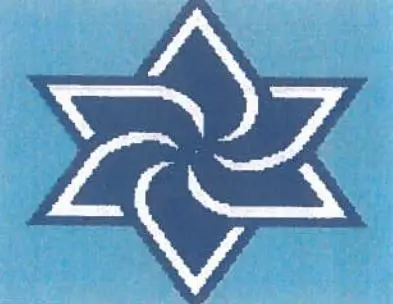 TEFILLIN JT100B Swirl Star 9.5" x 8" 13 Mesh  Two A T Design Judaic Designs by Tonya